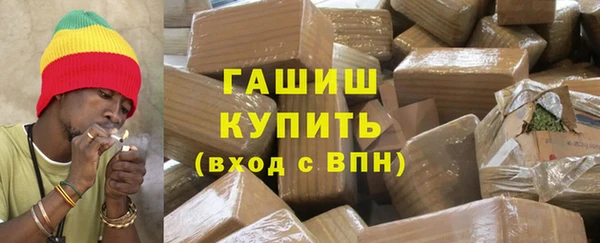 прущие грибы Бородино