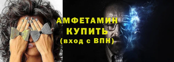 прущие грибы Бородино