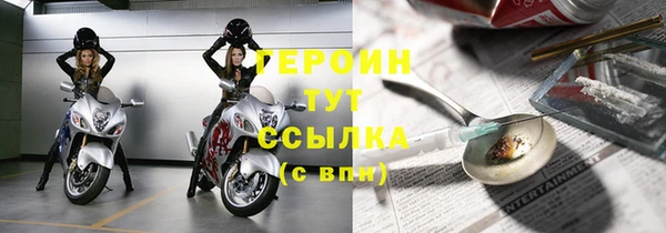 прущие грибы Бородино