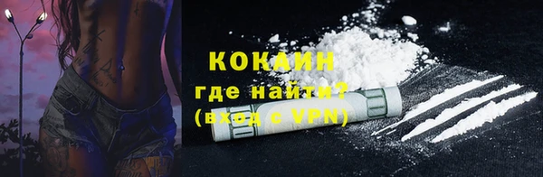 прущие грибы Бородино