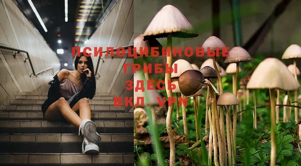 ALPHA PVP Тутаев