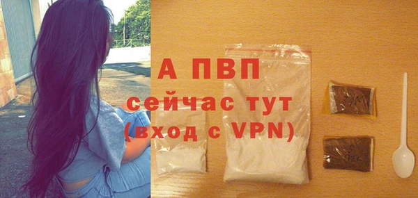 прущие грибы Бородино