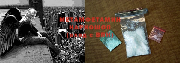 прущие грибы Бородино