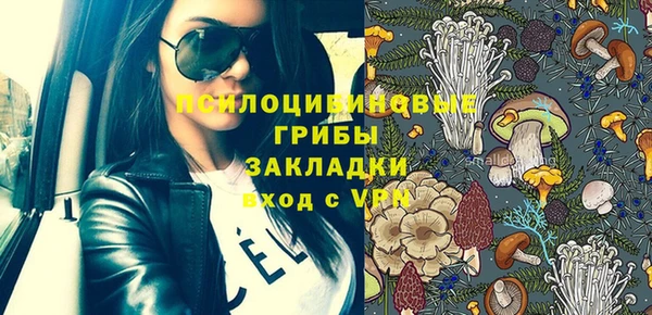 винт Бронницы