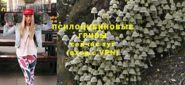 винт Бронницы