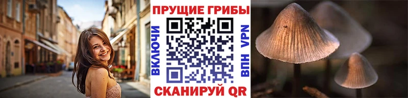 Купить закладки  Сусуман  Галлюциногенные грибы ЛСД 